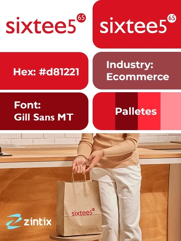 Zintix Website Portfolio Branding (Sixtee65)
